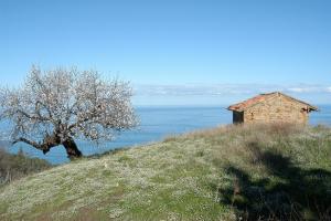 Sur les hauteurs de Larhat...