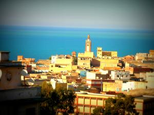 La Mosquée de la Zaouia al Alaouiya