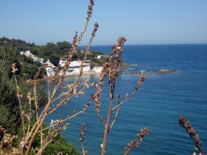 Légèreté d'âme !