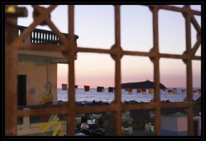 Dérière le grillage