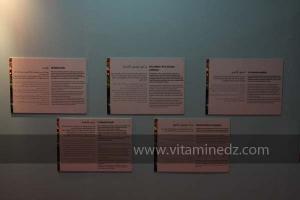 Exposition Nouba dans sa nouvelle version, à l\'occasion du 6è Festival de Musique Hawzi de Tlemcen