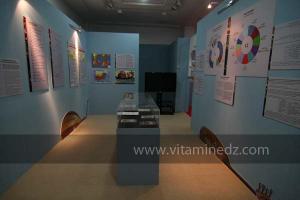 Exposition Nouba dans sa nouvelle version, à l\'occasion du 6è Festival de Musique Hawzi de Tlemcen