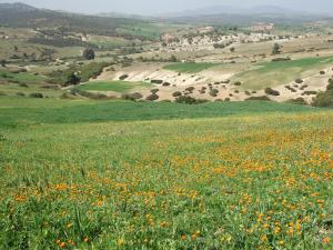 le printemps du Taghlissia djemaaa ouled cheikh