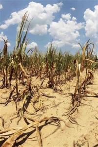 Planète - La sécheresse historique va se poursuivre aux Etats-Unis