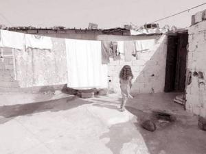 Alger - Une enveloppe de 270 millions dégagée par la wilaya: les forêts occupées par des bidonvilles seront réhabilitées