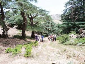 Parc National du Djurdjura: Une destination écotouristique à promouvoir