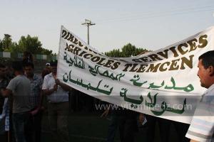 Festivités du cinquantenaire de l\'indépendance de l\'Algérie à Tlemcen, défilé, feux d\'artifices et fantasia au programme