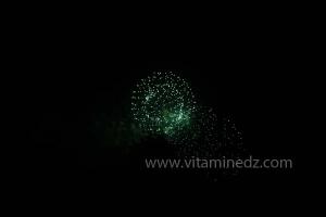 Festivités du cinquantenaire de l\'indépendance de l\'Algérie à Tlemcen, défilé, feux d\'artifices et fantasia au programme