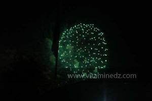 Festivités du cinquantenaire de l\'indépendance de l\'Algérie à Tlemcen, défilé, feux d\'artifices et fantasia au programme