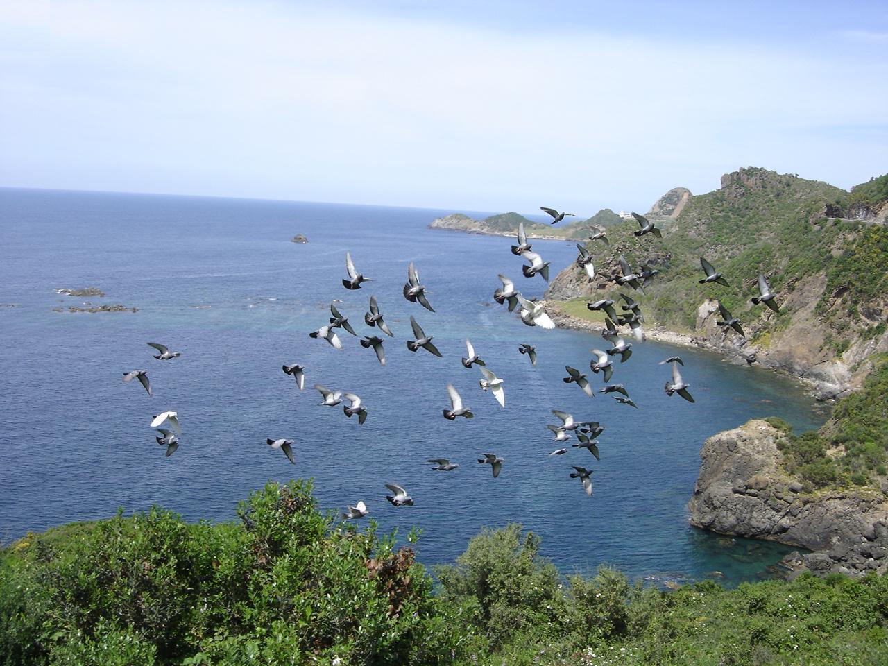 Splendeur de la nature jijilienne.