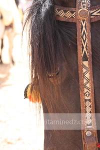 Festivités du cinquantenaire de l\'indépendance de l\'Algérie à Tlemcen, défilé, feux d\'artifices et fantasia au programme