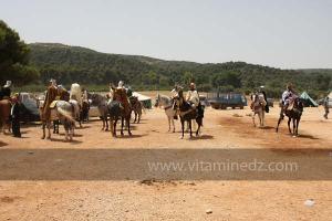 Festivités du cinquantenaire de l\'indépendance de l\'Algérie à Tlemcen, défilé, feux d\'artifices et fantasia au programme