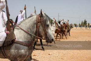 Festivités du cinquantenaire de l\'indépendance de l\'Algérie à Tlemcen, défilé, feux d\'artifices et fantasia au programme