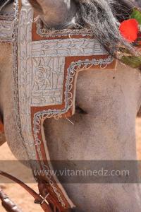 Festivités du cinquantenaire de l\'indépendance de l\'Algérie à Tlemcen, défilé, feux d\'artifices et fantasia au programme