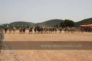 Festivités du cinquantenaire de l\'indépendance de l\'Algérie à Tlemcen, défilé, feux d\'artifices et fantasia au programme