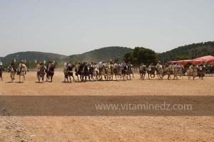 Festivités du cinquantenaire de l\'indépendance de l\'Algérie à Tlemcen, défilé, feux d\'artifices et fantasia au programme