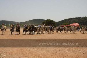 Festivités du cinquantenaire de l\'indépendance de l\'Algérie à Tlemcen, défilé, feux d\'artifices et fantasia au programme