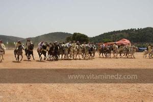 Festivités du cinquantenaire de l\'indépendance de l\'Algérie à Tlemcen, défilé, feux d\'artifices et fantasia au programme