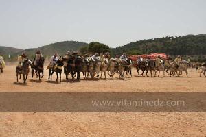 Festivités du cinquantenaire de l\'indépendance de l\'Algérie à Tlemcen, défilé, feux d\'artifices et fantasia au programme