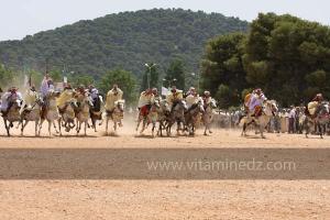 Festivités du cinquantenaire de l\'indépendance de l\'Algérie à Tlemcen, défilé, feux d\'artifices et fantasia au programme