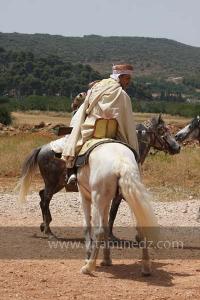 Festivités du cinquantenaire de l\'indépendance de l\'Algérie à Tlemcen, défilé, feux d\'artifices et fantasia au programme
