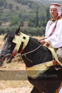 Festivités du cinquantenaire de l\'indépendance de l\'Algérie à Tlemcen, défilé, feux d\'artifices et fantasia au programme