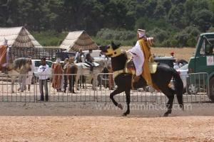 Festivités du cinquantenaire de l\'indépendance de l\'Algérie à Tlemcen, défilé, feux d\'artifices et fantasia au programme