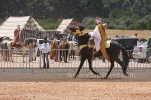 Festivités du cinquantenaire de l\'indépendance de l\'Algérie à Tlemcen, défilé, feux d\'artifices et fantasia au programme