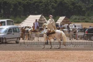 Festivités du cinquantenaire de l\'indépendance de l\'Algérie à Tlemcen, défilé, feux d\'artifices et fantasia au programme