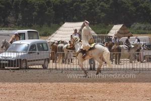 Festivités du cinquantenaire de l\'indépendance de l\'Algérie à Tlemcen, défilé, feux d\'artifices et fantasia au programme