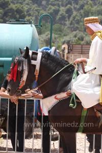 Festivités du cinquantenaire de l\'indépendance de l\'Algérie à Tlemcen, défilé, feux d\'artifices et fantasia au programme