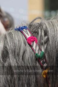 Festivités du cinquantenaire de l\'indépendance de l\'Algérie à Tlemcen, défilé, feux d\'artifices et fantasia au programme