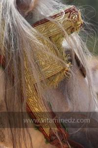 Festivités du cinquantenaire de l\'indépendance de l\'Algérie à Tlemcen, défilé, feux d\'artifices et fantasia au programme