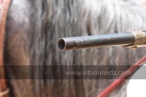 Festivités du cinquantenaire de l\'indépendance de l\'Algérie à Tlemcen, défilé, feux d\'artifices et fantasia au programme