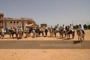 Festivités du cinquantenaire de l\'indépendance de l\'Algérie à Tlemcen, défilé, feux d\'artifices et fantasia au programme