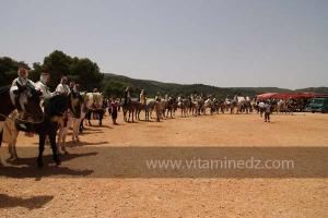 Festivités du cinquantenaire de l\'indépendance de l\'Algérie à Tlemcen, défilé, feux d\'artifices et fantasia au programme