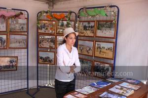 Festivités du cinquantenaire de l\'indépendance de l\'Algérie à Tlemcen, défilé, feux d\'artifices et fantasia au programme