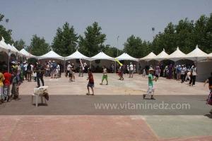 Festivités du cinquantenaire de l\'indépendance de l\'Algérie à Tlemcen, défilé, feux d\'artifices et fantasia au programme