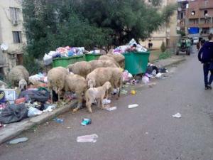 Environnement à El Milia: la ville croule sous les ordures