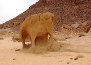 souvenir des amis de ghardaia 2010