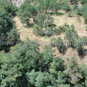 Le jardin public de Sousse sous le pont d'El Kantara à Constantine, à l'abandon