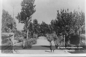 Femme colon dans sa demeure à Tlemcen