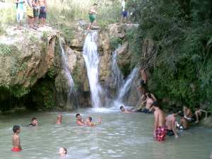 صور - الهوبجة - واد الشوك بلدية الزعرورية