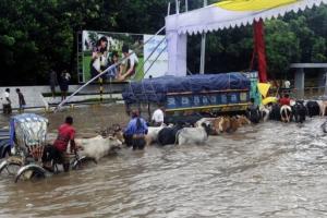 Planète - Les pays d'Asie particulièrement vulnérables aux catastrophes naturelles