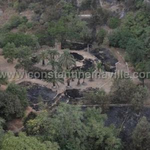 Un visage du jardin public de Sousse d'un autre âge