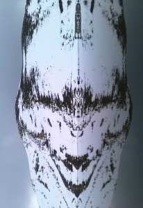 Real Photo!!! of Water Reflexion: Tell me what do you think? dites-moi que pensez-vous?سبحان الله