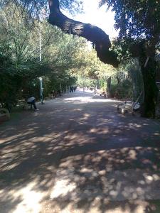jardin public et historique de Biskra