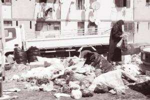 Alger - Relâchement des équipes de NETCOM:  l’adhésion des citoyens est nécessaire