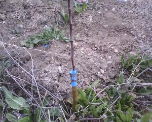 صورة من بلادي