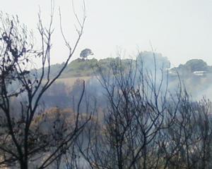 Feux de forêts:  Chlef n’a pas connu pareil sinistre depuis 18 ans